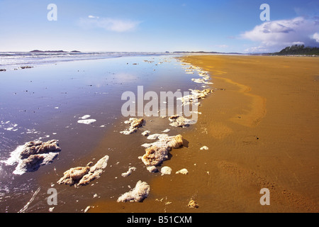 Ampia spiaggia di sabbia e i resti di schiuma di mare su un bordo di acqua Foto Stock