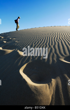 Turistico a Oregon Dunes National Recreation Area, Oregon, Stati Uniti d'America Foto Stock