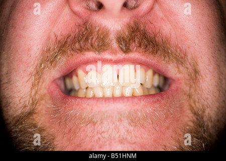 Con barba mostra i denti Foto Stock