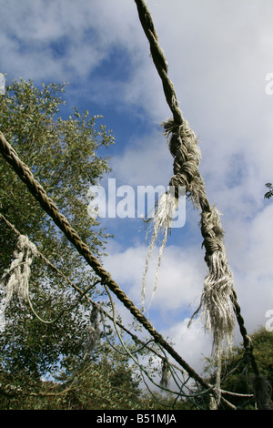 Ponte di corde nel paesaggio selvaggio e cielo blu Foto Stock