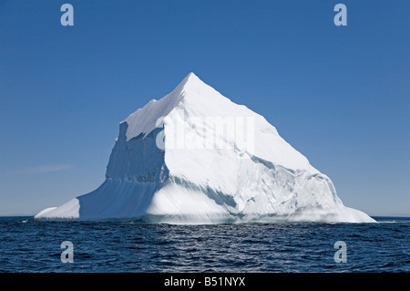 Iceberg, Twillingate, Terranova, Canada Foto Stock