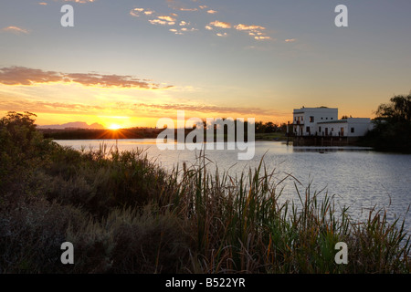 Il papiro Lodge, Stellenbosch Foto Stock