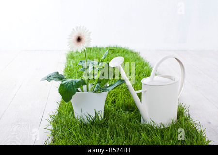 Annaffiatoio e vasi di fiore Foto Stock