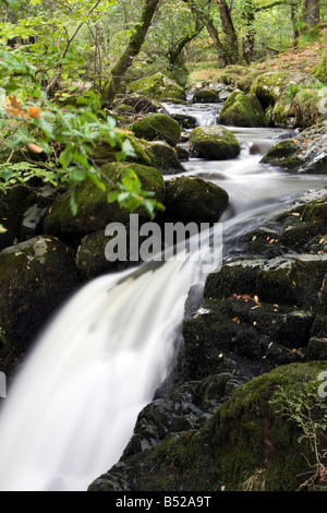 Aira Beck vicino a Ullswater nel distretto del Lago Foto Stock