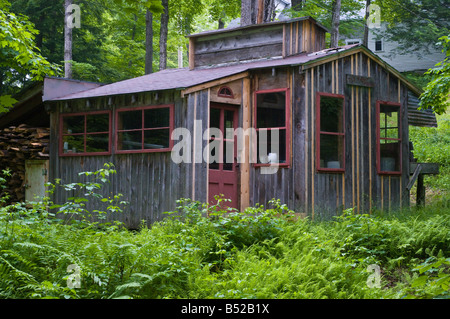 Sciroppo di acero cabina in Nuova Inghilterra NH New Hampshire forest Foto Stock