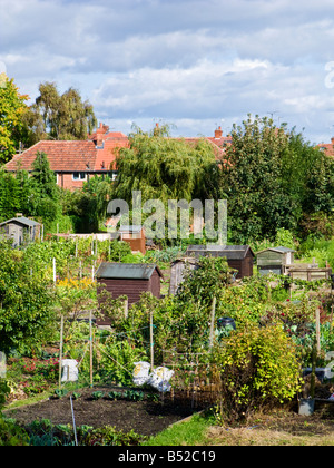 Assegnazioni, giardinaggio trame e capannoni, England, Regno Unito Foto Stock