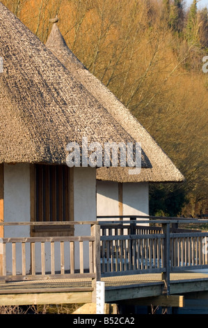 Il Outlook-In edifici educativi, Arundel Wildfowl and Wetlands Trust, West Sussex Foto Stock