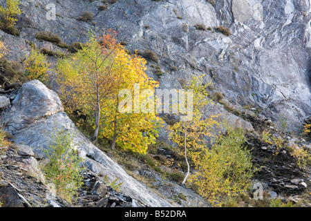 Colore di autunno a Ballachulish cava di ardesia Scozia Scotland Foto Stock