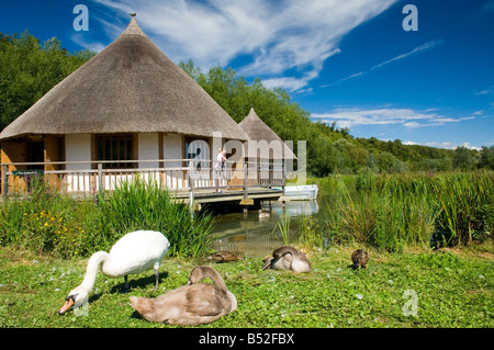 Il Outlook-In edifici educativi, Arundel Wildfowl and Wetlands Trust, West Sussex Foto Stock