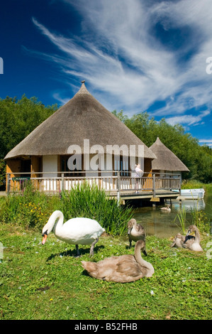 Il Outlook-In edifici educativi, Arundel Wildfowl and Wetlands Trust, West Sussex Foto Stock