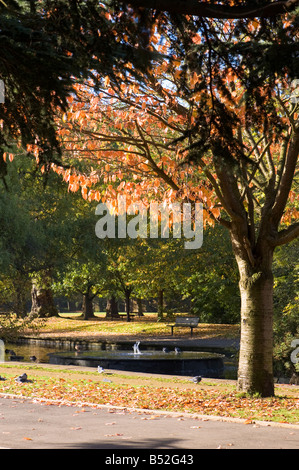 Colori autunnali in Walpole Park Ealing W5 London Regno Unito Foto Stock