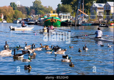 Persone rilassante sul fiume Tamigi Twickenham TW10 London Regno Unito Foto Stock