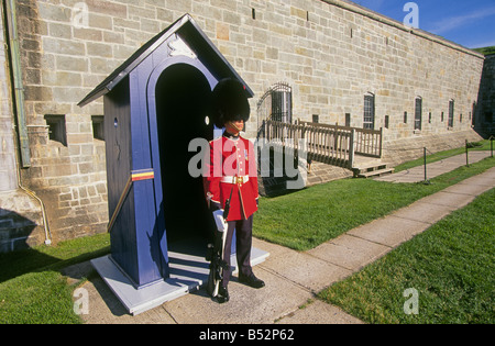 Un soldato di guardia a la Citadelle home al Van cotonati il reale regime XXII Foto Stock