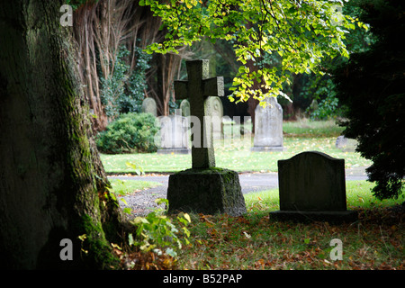 Testa Croce di pietra retroilluminato in cimitero con fogliame di autunno in autunno. Cimitero di Carlisle, Dalston Road, Carlisle, Cumbria, Regno Unito. Foto Stock