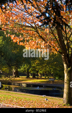 Colori autunnali in Walpole Park Ealing W5 London Regno Unito Foto Stock