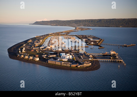 Vista aerea di Omero Boat Harbour sulla Homer Spit Kachemak Bay Penisola di Kenai Alaska estate Foto Stock