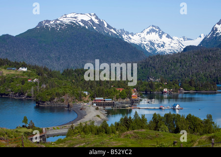 Halibut Cove nella Kachemak Bay attraverso da Omero, Alaska in estate Foto Stock