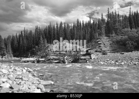 Vecchia diga nella valle Waiparous, Kananaskis Country, Alberta Foto Stock