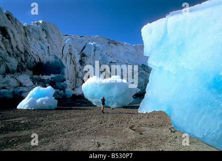 Persona fotografare iceberg vicino a Reid ghiacciaio nel Parco Nazionale di Glacier Bay in Alaska sudorientale durante l'estate Foto Stock