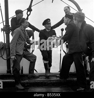 Il rev. Hubert Walters visite lightships Bristol. Dicembre 1952 C6352 Foto Stock