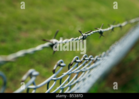 recinzione barbwired Foto Stock