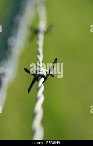 recinzione barbwired Foto Stock