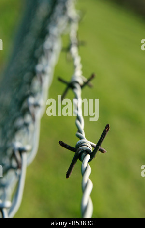 recinzione barbwired Foto Stock