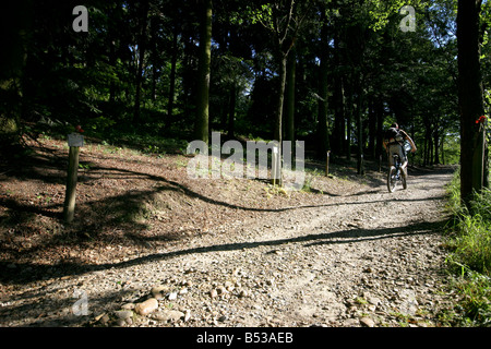 Ragazzo in sella in salita con la sua mountain bike. Foto Stock