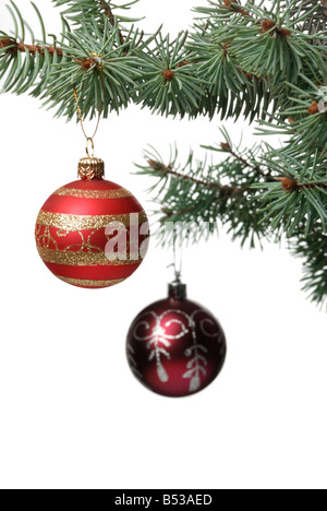 Giocattolo di natale su un ramo di un albero da pelliccia in una sfera di vetro isolato su uno sfondo bianco Foto Stock