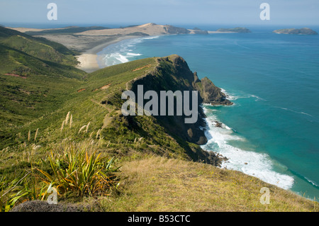 Cape Reinga, Te Rerenga Wairua (il salto posto degli Spiriti), Isola del nord, Nuova Zelanda Foto Stock