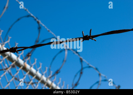 Recinzione barbwire contro il cielo blu senza nuvole Foto Stock