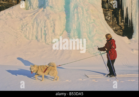 Husky - tirando la donna sugli sci Foto Stock