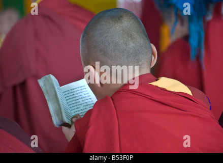 Giovane monaco buddista a Gandan Khiid monastero UlaanBaatar in Mongolia Foto Stock