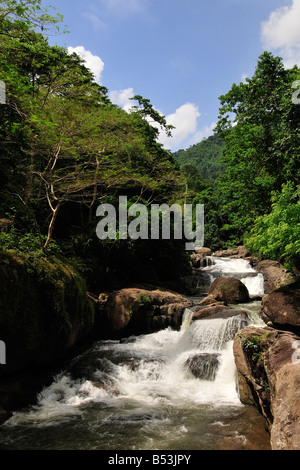 La cascata nel parco nazionale di Khao Yai in Thailandia Foto Stock
