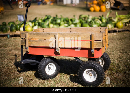 Carro utilizzato per la raccolta di zucche e zucche in un orto di zucche in Arkansas. Foto Stock