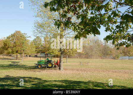 Soffiatura di foglia in autunno Foto Stock