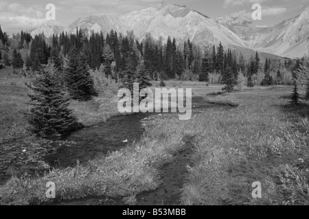 Highwood prati a Kananaskis Country, Alberta Foto Stock