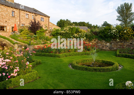 Letti di rose in un giardino di campagna Foto Stock