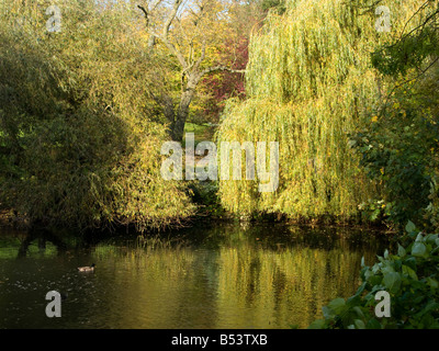 Waterlow Park, Londra in autunno Foto Stock