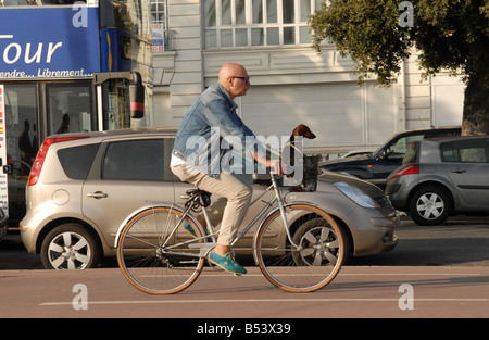 Un ciclista scorre attraverso il bello con il suo cane seduto davanti Foto Stock