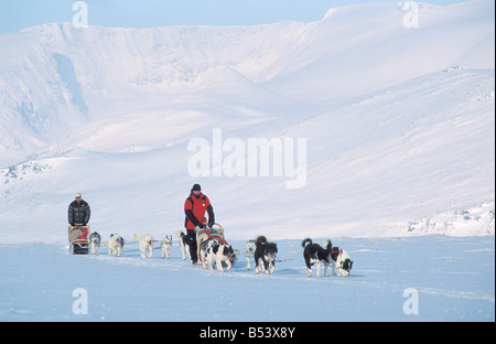 Huskies - tirando la slitta Foto Stock