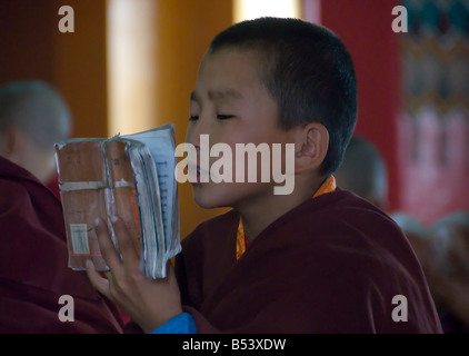 Giovane monaco buddista a Gandan Khiid monastero UlaanBaatar in Mongolia Foto Stock