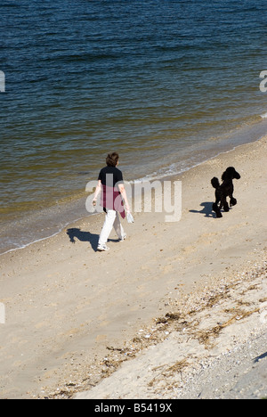 Donna e cane sulla spiaggia, Smithtown, Long Island NY Foto Stock