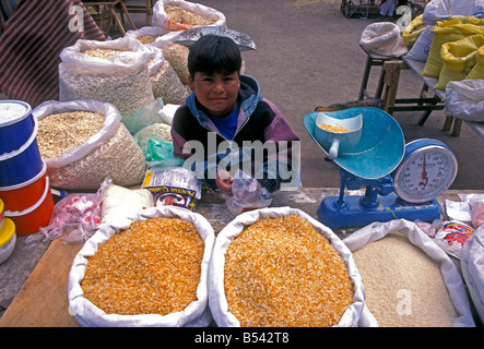 Ecuadorans, ecuadoran, ragazzo, boy, bambino, fornitore, vista anteriore del mercato indiano, il giorno di mercato, il mercato, zumbahua, provincia di Cotopaxi, Ecuador Foto Stock