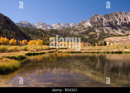 Autunno a colori in North Lake, Vescovo Creek Regione, Sierra orientale, California, Stati Uniti. Foto Stock