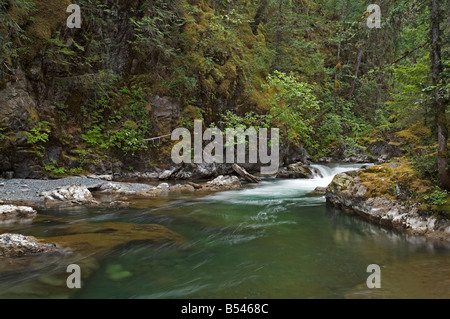 'Little Qualicum River Falls" Foto Stock