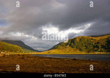 Serata sole sul Loch Sunart, Sunart, Scozia Foto Stock