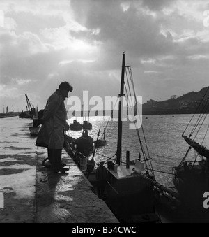 I primi narcisi giallo chiamato Soleil D'or, che sono cresciute sulle isole di Scilly, vengono inviati, imballati in scatole e inviati in barca a Penzance, per mercato di Covent Garden. Febbraio 1953 D647-001 Foto Stock