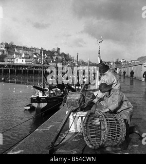 I primi narcisi giallo chiamato Soleil D'or, che sono cresciute sulle isole di Scilly, vengono inviati, imballati in scatole e inviati in barca a Penzance, per mercato di Covent Garden. Febbraio 1953 D647-004 Foto Stock