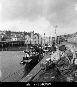 I primi narcisi giallo chiamato Soleil D'or, che sono cresciute sulle isole di Scilly, vengono inviati, imballati in scatole e inviati in barca a Penzance, per mercato di Covent Garden. Febbraio 1953 D647-005 Foto Stock